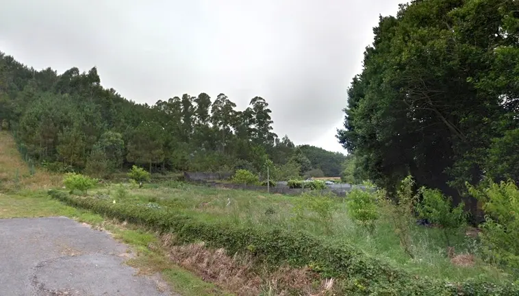 Zona forestal de Sardineiro