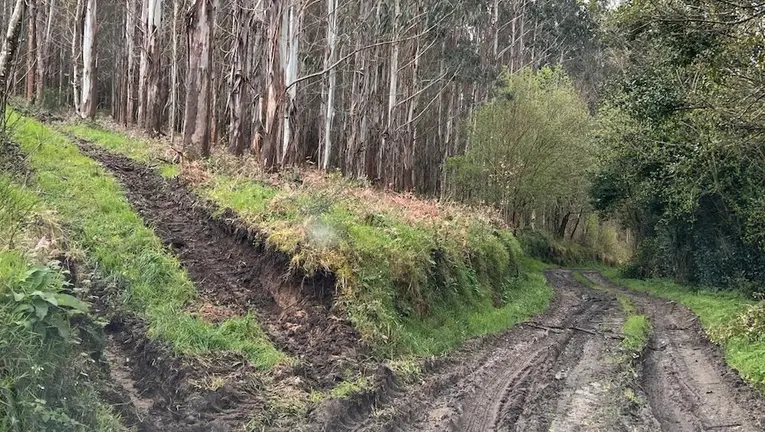 Mal estado das pistas forestais Montemaior-Laracha