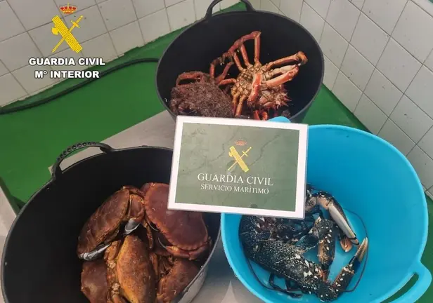 marisco incautado laxe Garda Civil