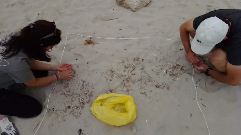 Apanando pellets na praia das Salseiras
