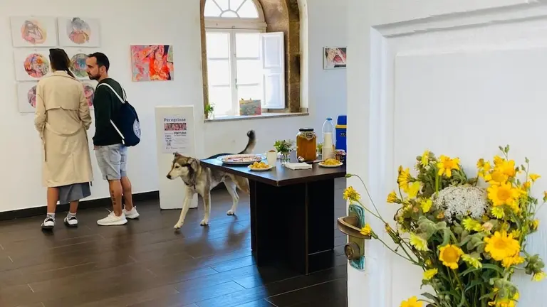 Exposicion Peregrinas no Faro Vilan 1 2