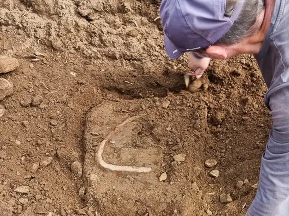 Castro das Barreiras-Fouce 2