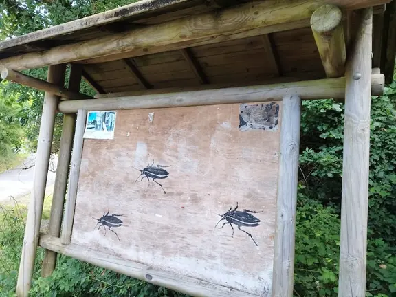 Cartel das caldeiras do castro