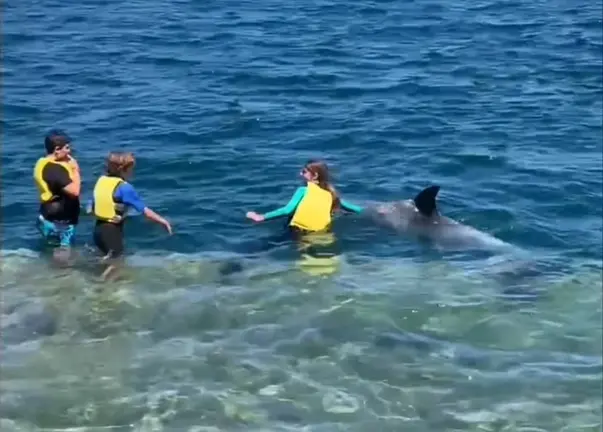 Golfino Confi Corcubion