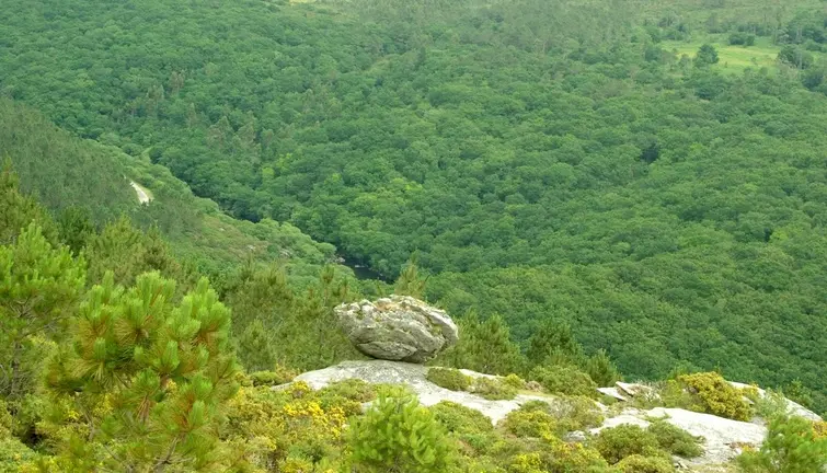 Devesa do Anallares-Foto-Modesto