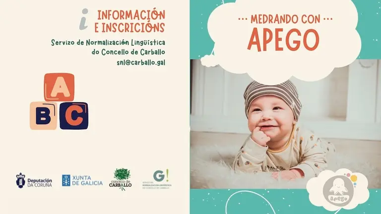 Programa Apego Carballo 20241