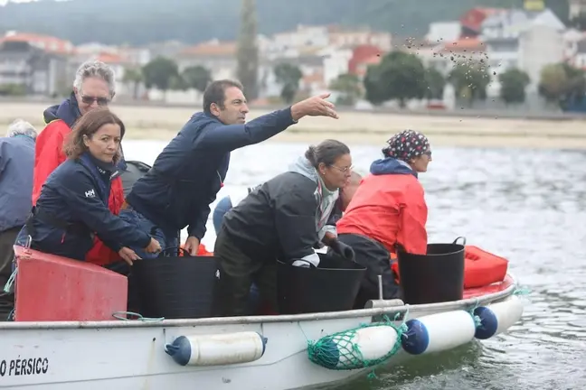 20241015 conselleiro entrega de semente Corcubión 2