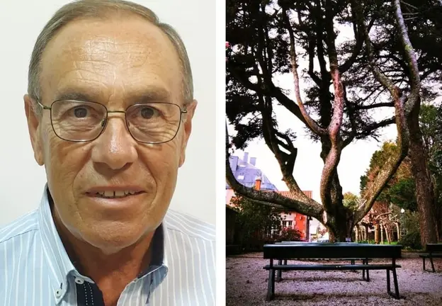 Manuel Canosa e a arbore centenario da Fundacion Fernando Blanco