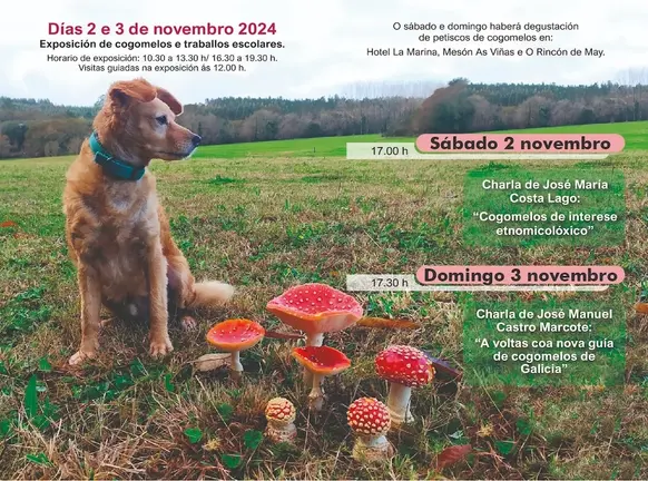 Programa Cartel Xornadas Micoloxicas Costa da Morte en Cee 2024