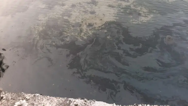 Vertido de fuel no porto de Corcubion