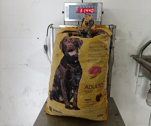 furtivismo percebes muxia