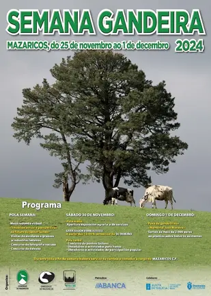 Semana Gandeira 2024 de Mazaricos