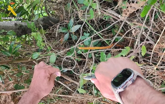 Lazos animais Garda Civil Laracha