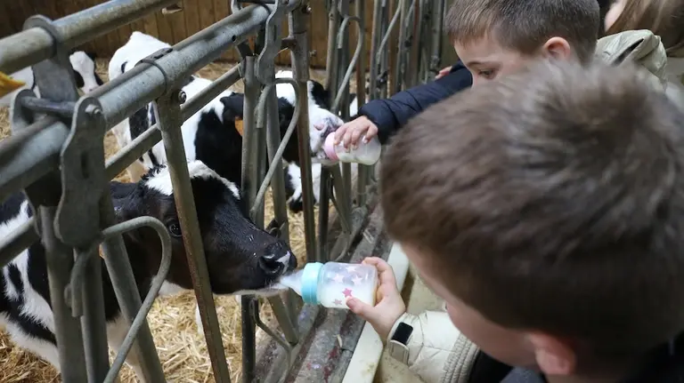 Semana Gandeira Mazaricos-Visita Granxa Xanceda