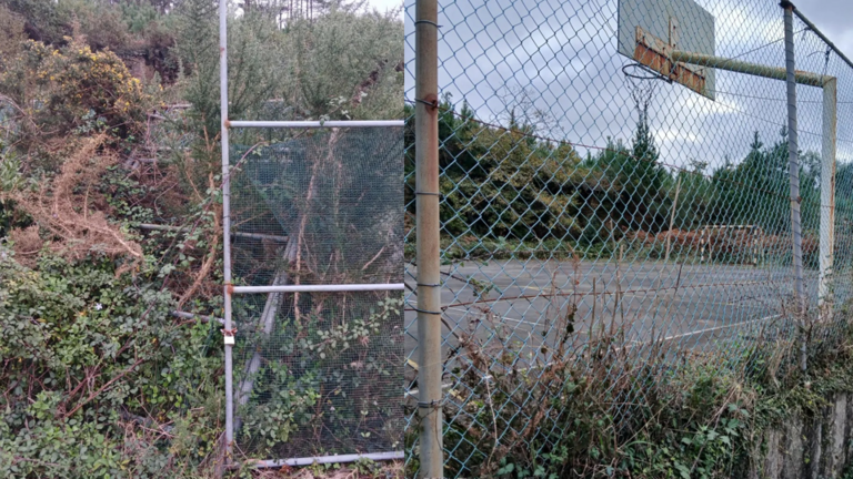 Estado da pista de Lires de total abandono