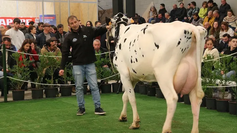 Poxa da Semana Gandeira de Mazaricos 2024