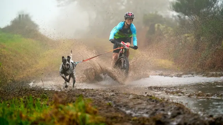 Copa da Espana de Mushing en Dumbria 2024-Foto-olloecuestre