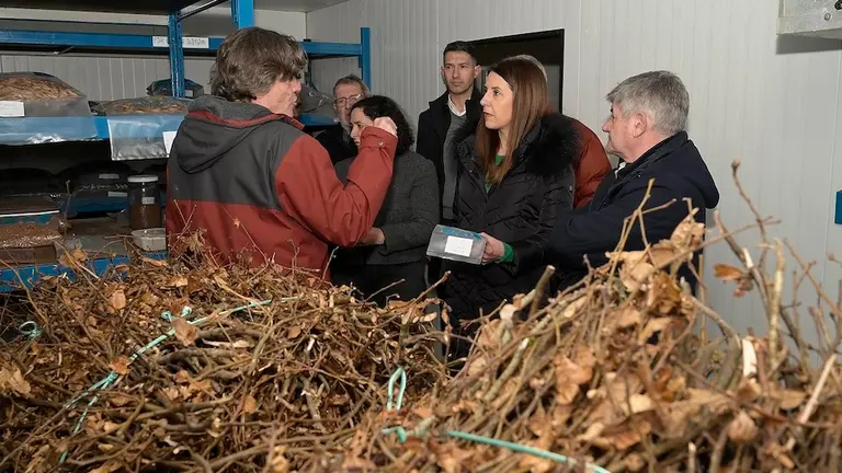 Carballo. A Coru&ntilde;a
A conselleira do Medio Rural, Mar&iacute;a Jos&eacute; G&oacute;mez, acompa&ntilde;ada polo director xeral de Planificaci&oacute;n e Ordenaci&oacute;n Forestal, Jos&eacute; Luis Chan, e pola delegada territorial da Xunta na Coru&ntilde;a, Bel&eacute;n do Campo, visitan o Centro de Sementes Forestais de Galicia
05/02/2025
Foto: Moncho Fuentes/AGN A Coru&ntilde;a&nbsp;