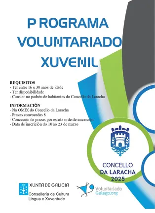 Voluntariado xuvenil
