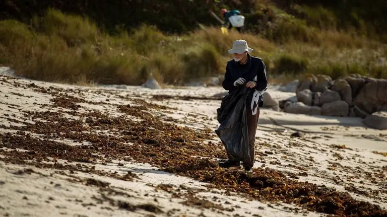 Imaxe doutra limpeza no areal de Fisterra