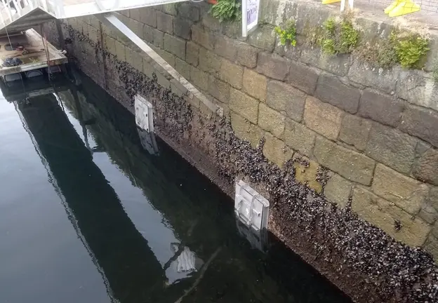 obras saneamento muros