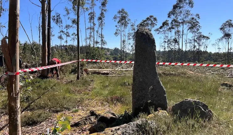 2025.06.02.- Limpeza parcela menhir Erboedo