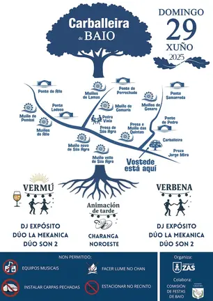 Festa-Carballeira-Baio2025