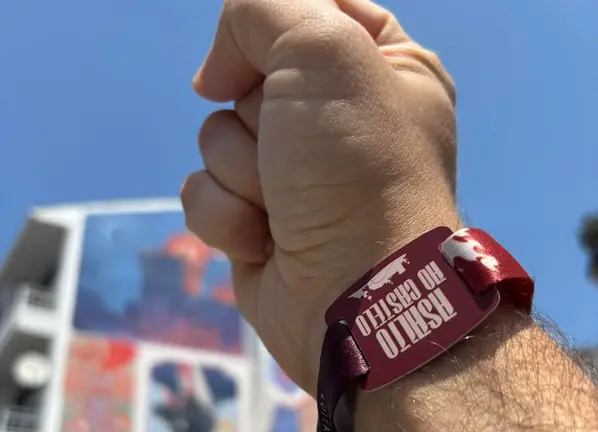 Pulseira Sistema Cashless do Asalto ao Castelo