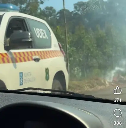 video bulo axentes forestais