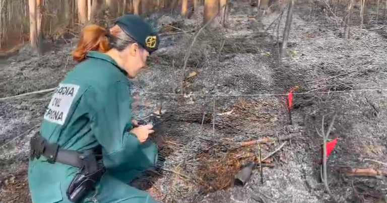 Screenshot_20250812-181444