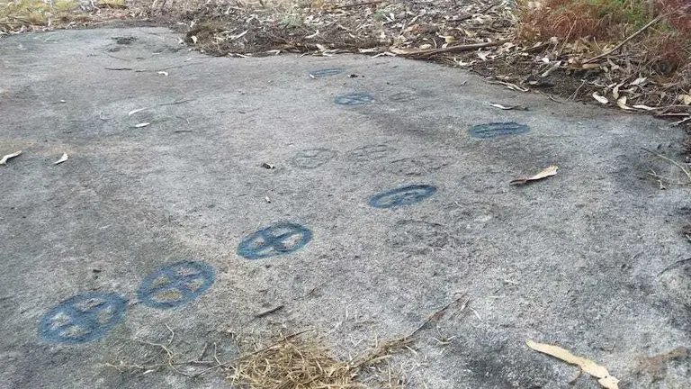 Petroglifos da Regadina de Corme vandalizados 2