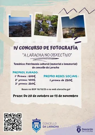 A Laracha no obxectivo copia