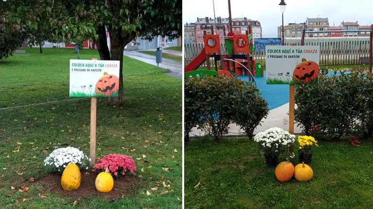 cabazas samain carballo