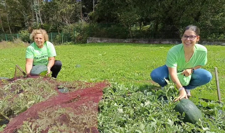 Voluntario agro de integro