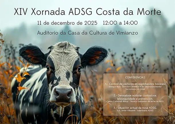 Cartel Xornadas ADSG