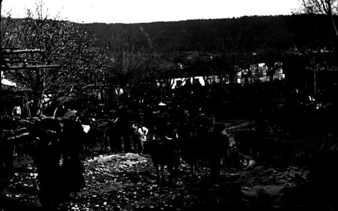 Feira de Gando na Serra de Outes polos inicios do século XX. Exposición &ldquo;Outes e as súas xentes&rdquo;, CEIP Serra de Outes, 1999