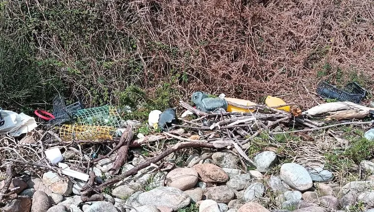 Estado do coido de Camarinas