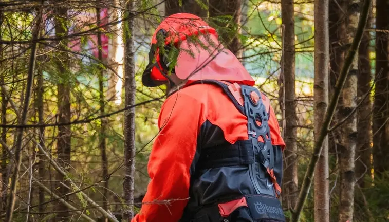 Obradoiro mellora Montes