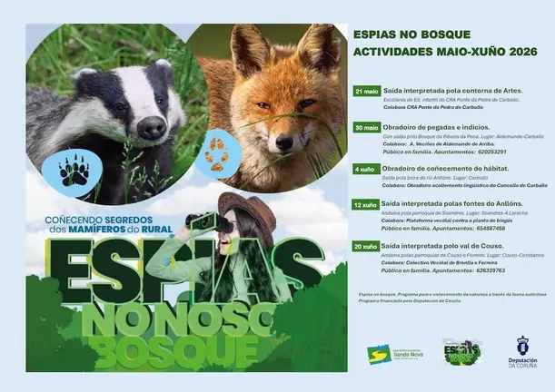 Espias do Bosque de Senada Nova 2026
