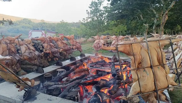 Festa do Porquino da Pereirina