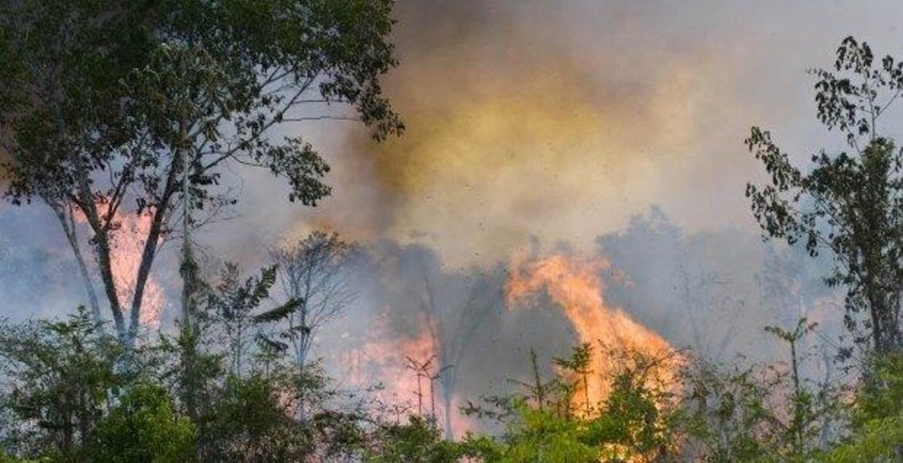 Nasa muestra la vista de un satélite de la Amazonia ardiendo