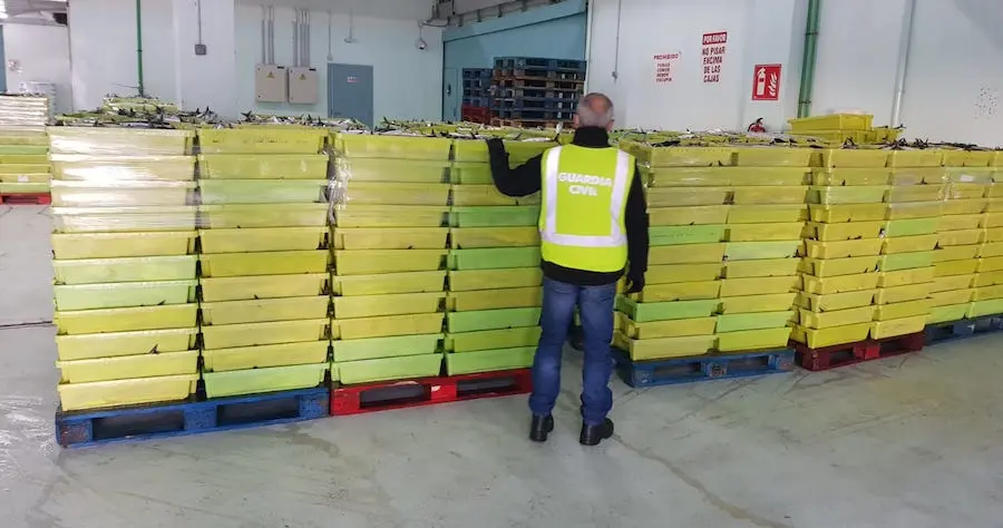 Xarda incautada na Coruña procedente de Malpica