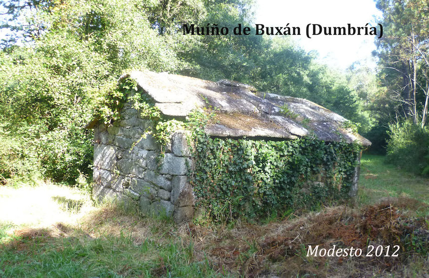Muino de Buxan-Foto-Modesto