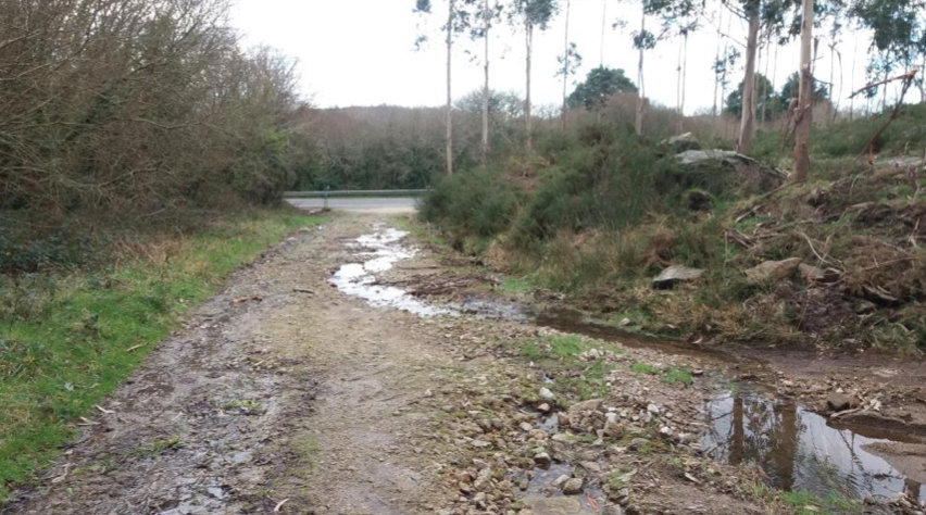 Estrada Petróglifos Boallo