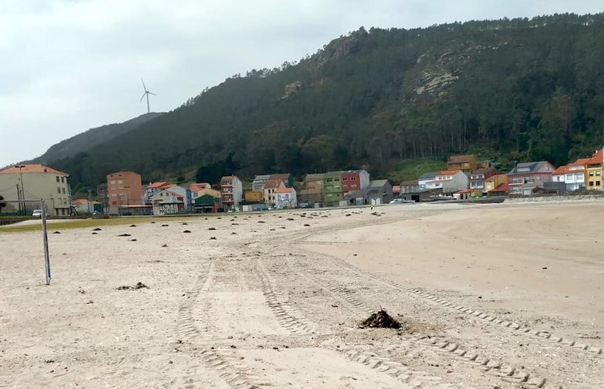PraiaCamelleLimpeza (2)