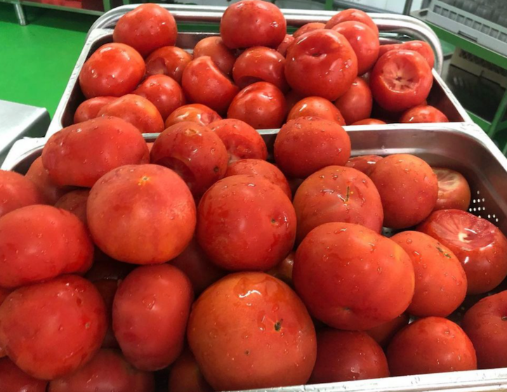 Tomates de proximidade nos Ecocomedores
