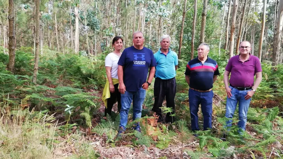 Directiva de Nosa Señora na mámoa do monte Faro 1