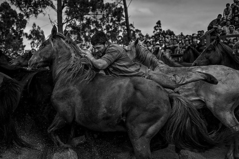 Foto de Marcos Rodriguez da Rapa das Bestas de Vimianzo-Golen Camera Europea 2019