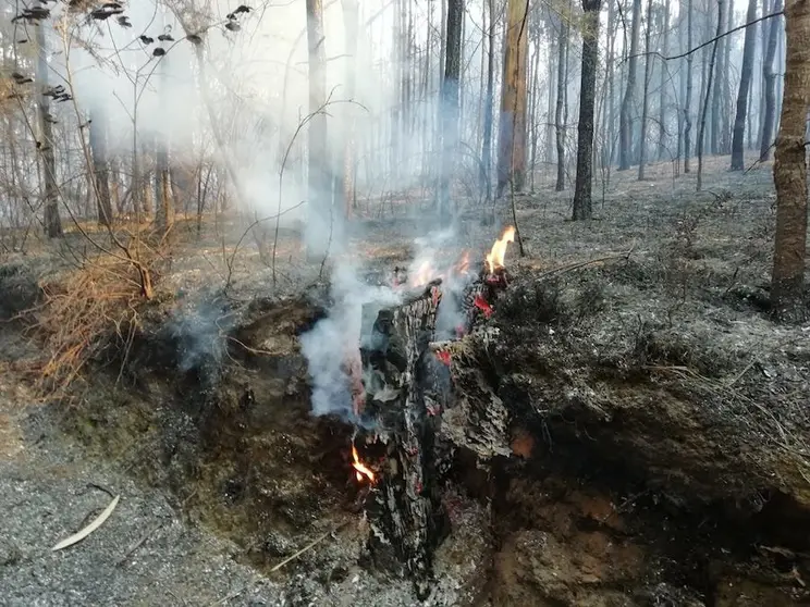 Imaxe do Incendio de Fisterra-Foto-Rafa Quintans