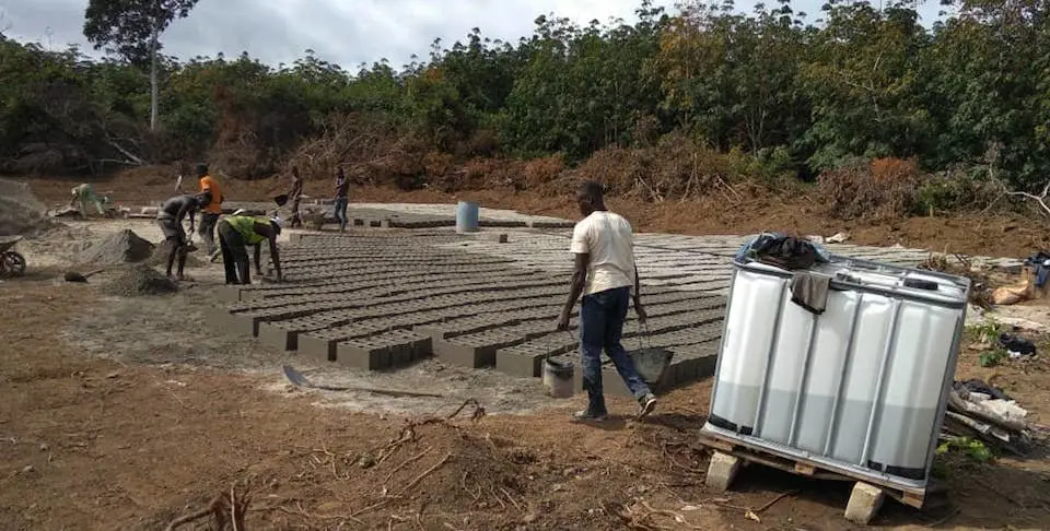 Creando o centro agropecuario de Egueire en Costa de Marfil